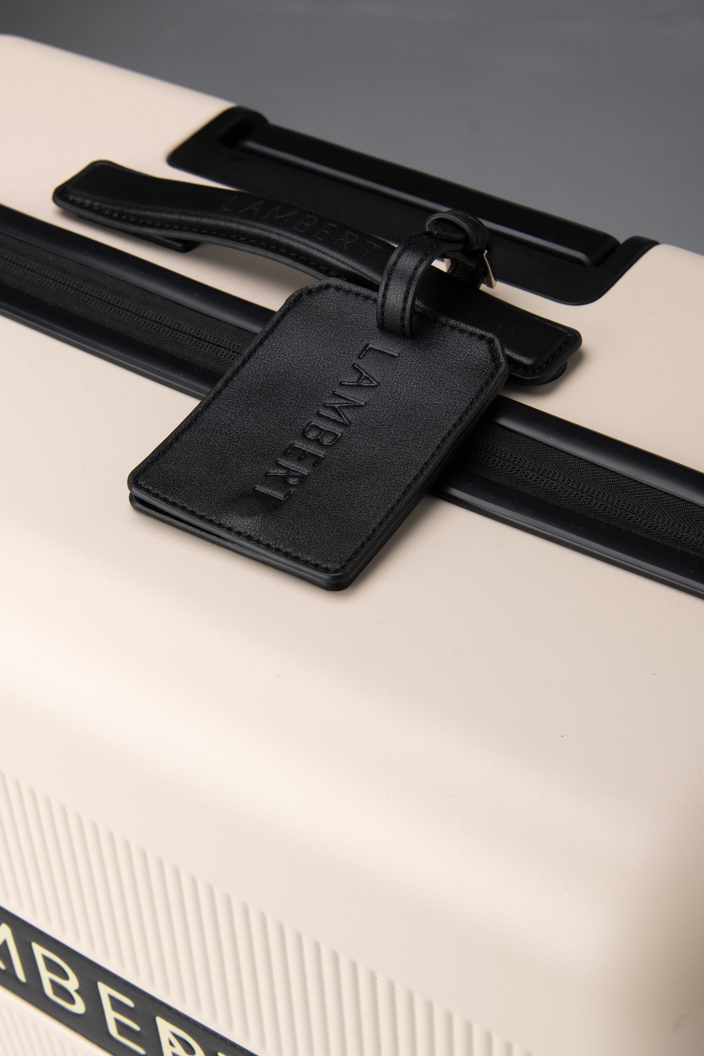 ASPEN LARGE CHECK-IN SUITCASE OYSTER MIX